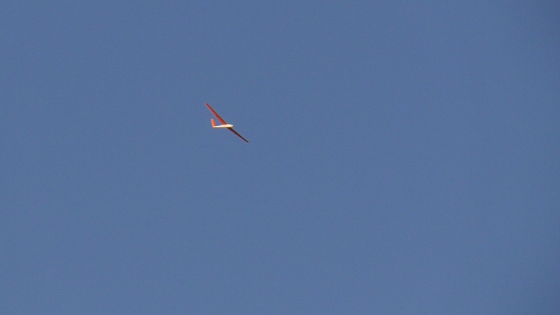 S1070199