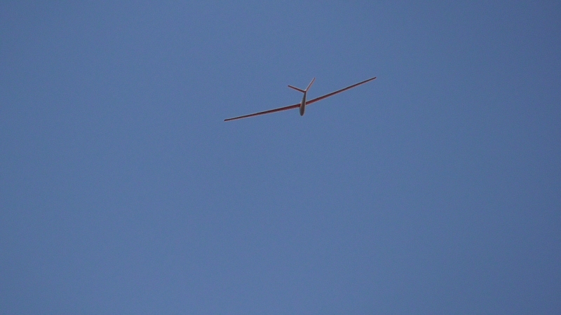 S1070206