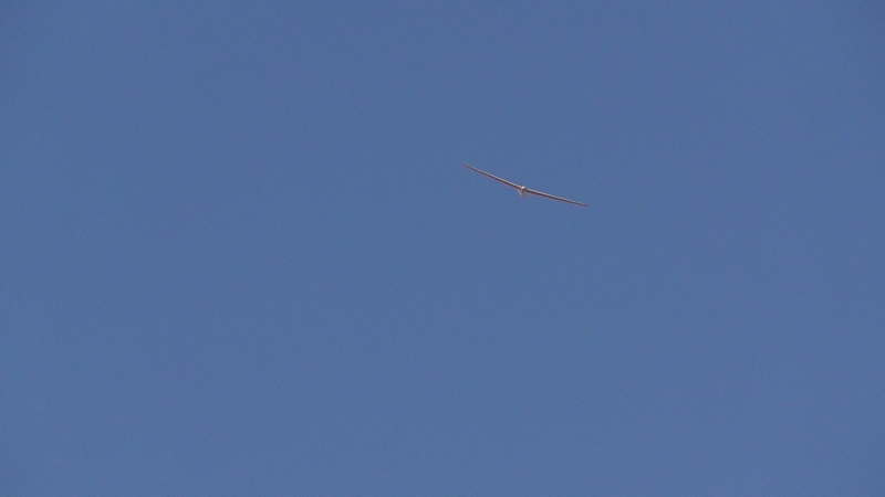 S1070217