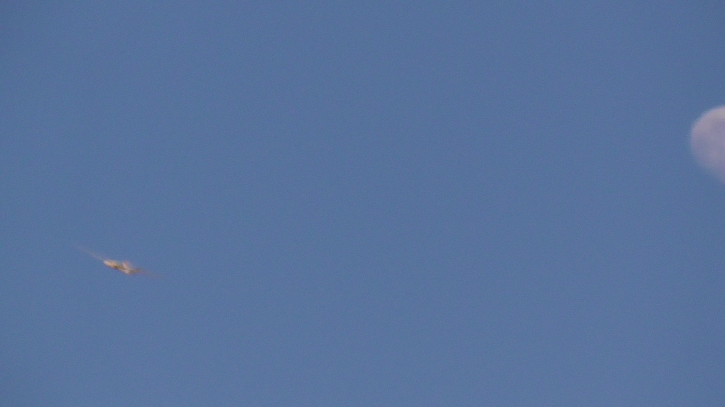 S1070227