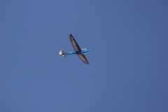 S1070021