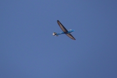 S1070022