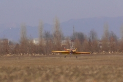 S1070043