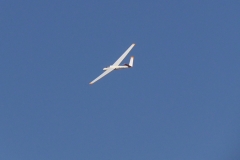 S1070049