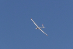 S1070050