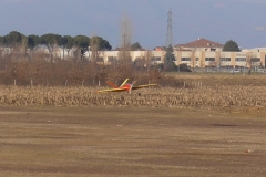 S1070067