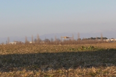 S1070072