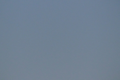 S1070073