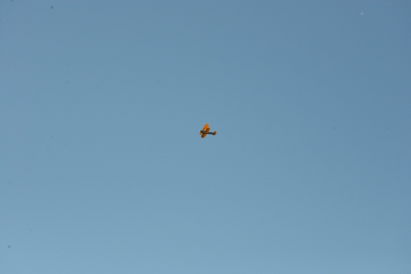 DSC_2755