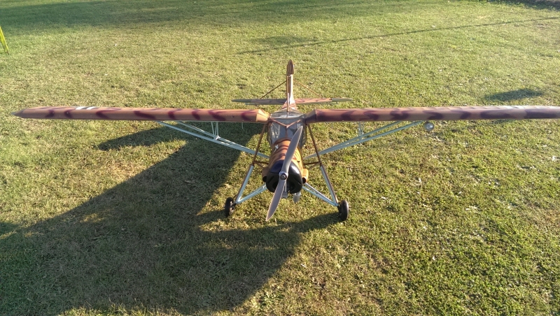 IMAG0018